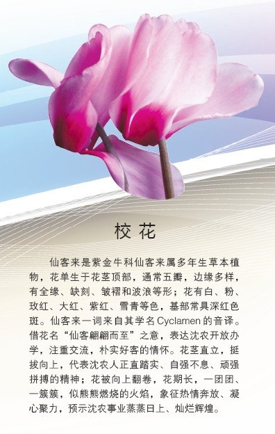 在这里开花结果