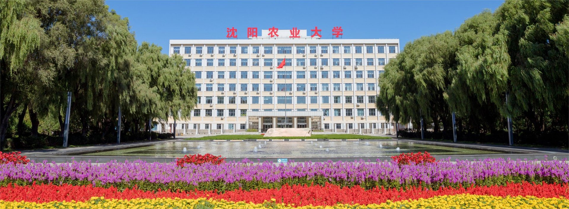 星空平台新手怎么玩科技处