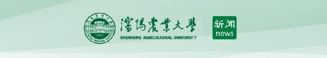 九游手游平台