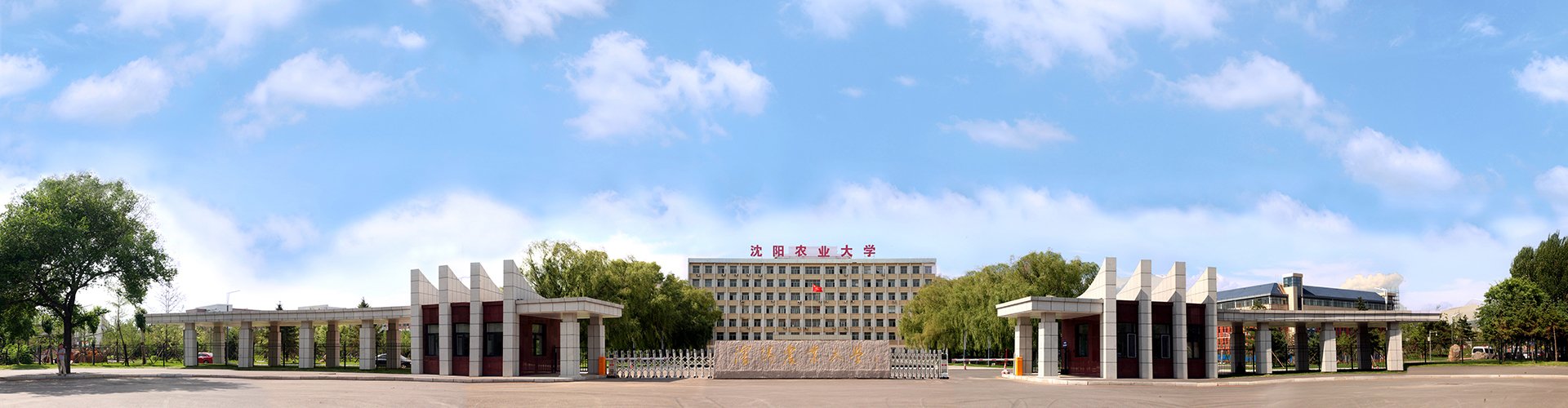星空平台官网帮助中心