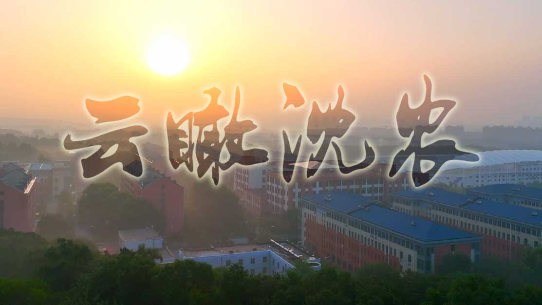 星空平台官方网站入口说明